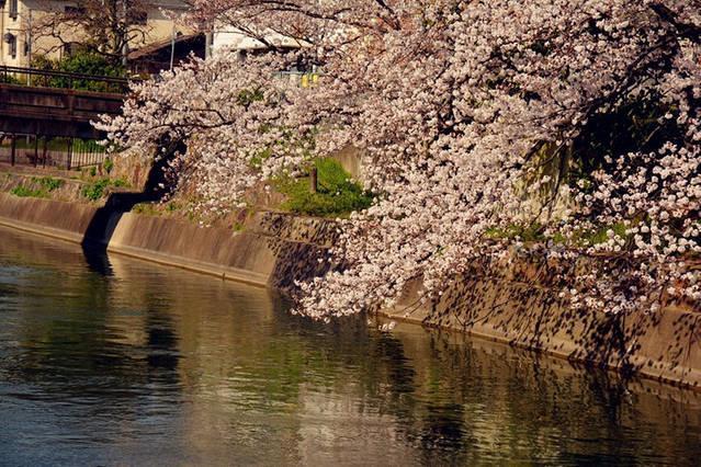 Art Stay In Tofukuji Kyoto Exterior photo